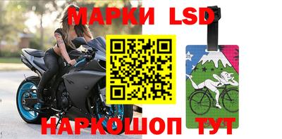стафф Обь